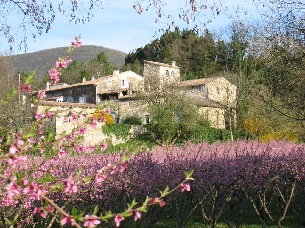 Maison D'Hotes Les Fougeres Mirmande Eksteriør billede
